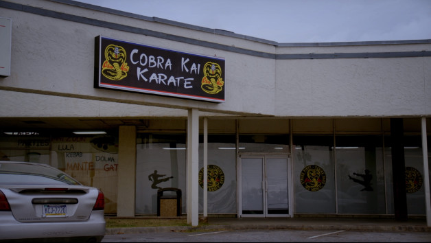 cobra kai